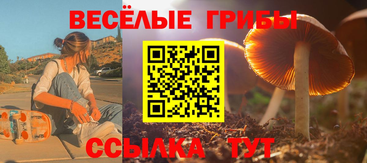 Псилоцибиновые грибы GOLDEN TEACHER Лабытнанги